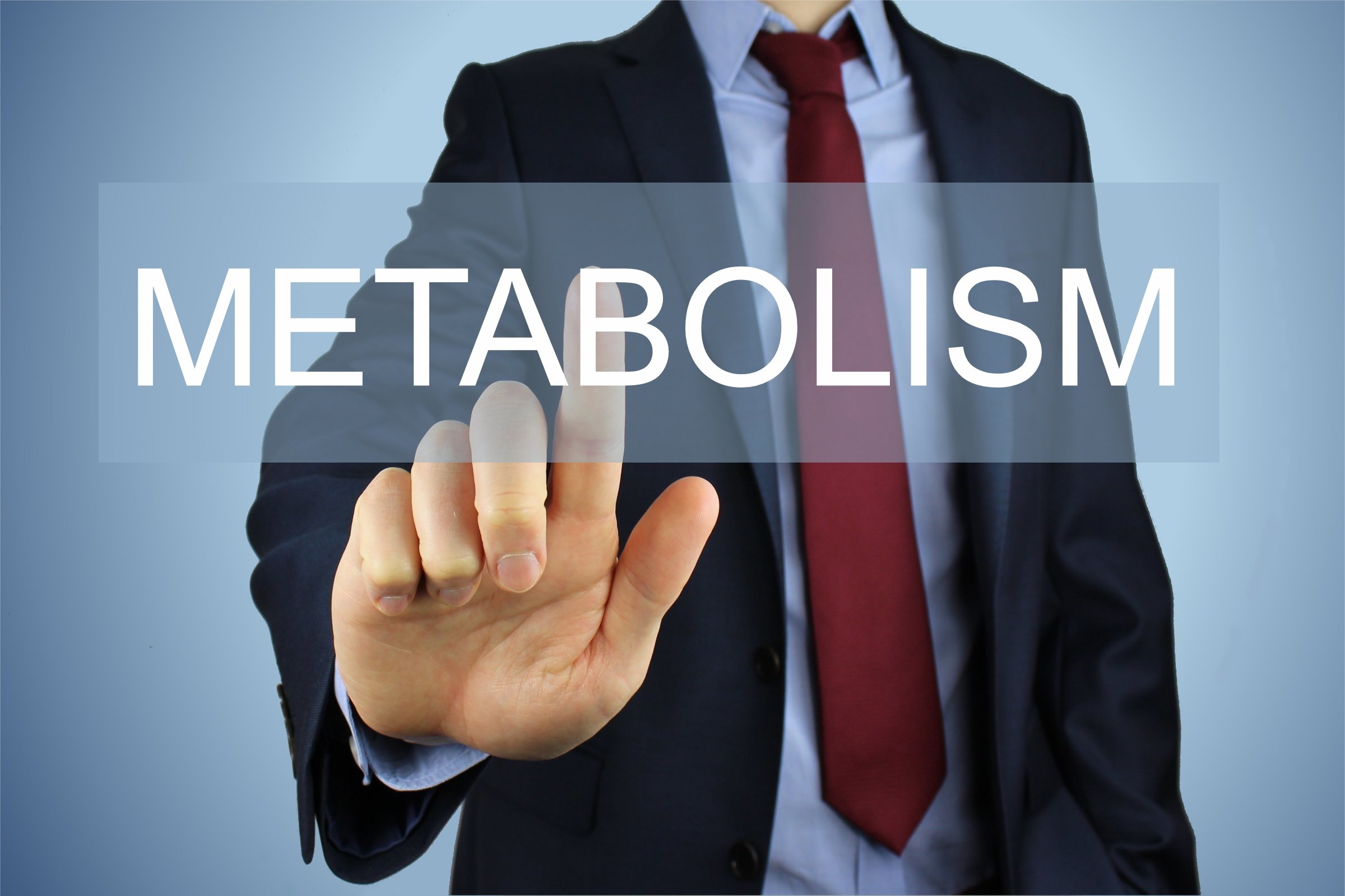 2. Schedule Yourself For Success: Quick Habits To Keep Your Metabolism Burning